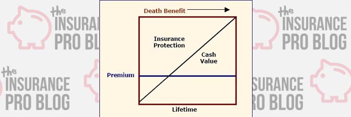 Cash Value Life Insurance General Design