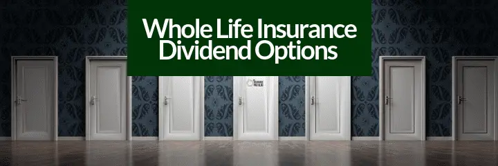 Everything you need to understand about whole life insurance dividend options