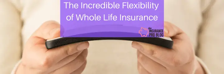 The Incredible Flexibility of Whole Life Insurance