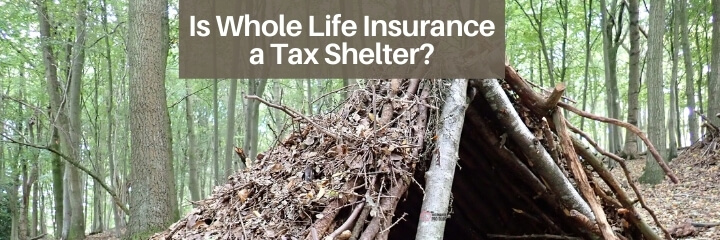 whole life insurance can be an effective tax shelter
