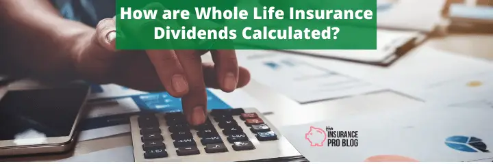 How are Whole Life Insurance Dividends Calculated?