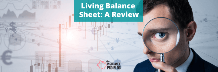 Living Balance Sheet: A Review